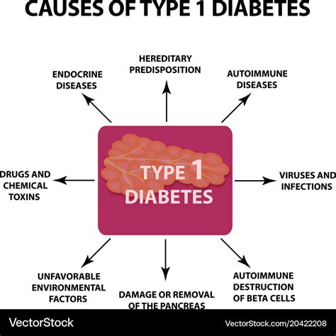 What Causes Type 1 Diabetes Genetically